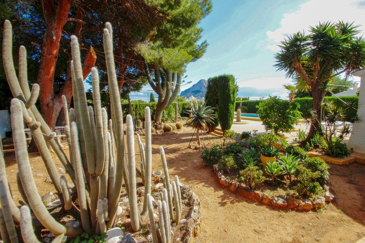 Condelmar - Modern Close To The In Calp